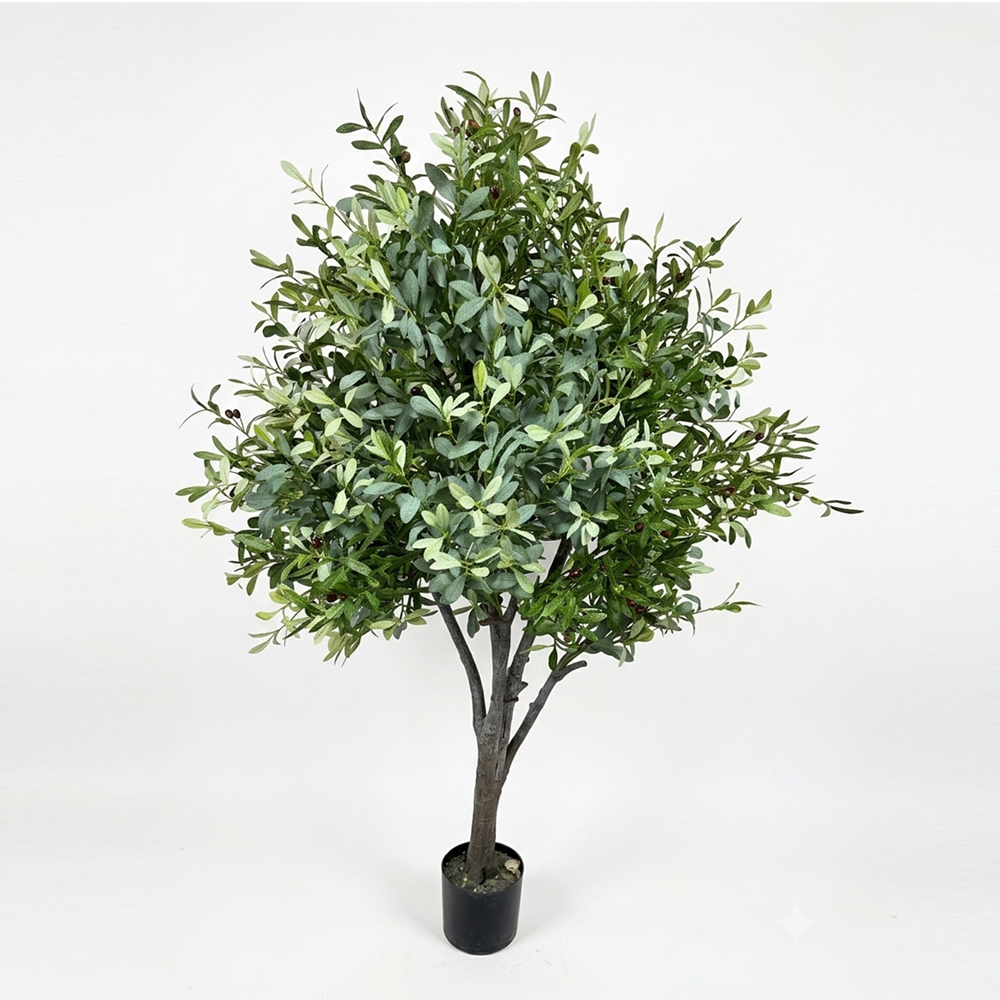 olive_plant
